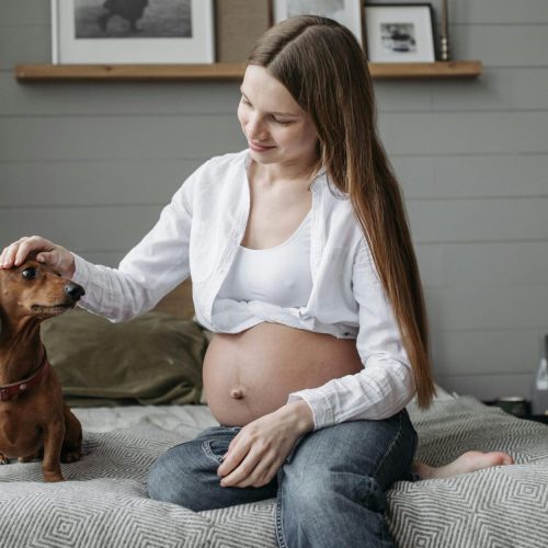 Mãe de pet também é mãe? Entenda.