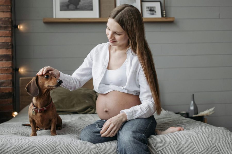 Mãe de pet também é mãe? Entenda.